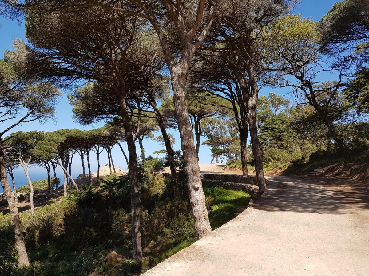 Tanger Cap Spartel - Duplex 110M2 Face Aux Plages Eksteriør billede